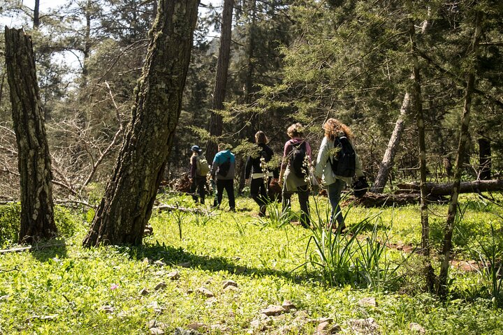 Winter Season Hiking at Mount Akramitis  - Image 4