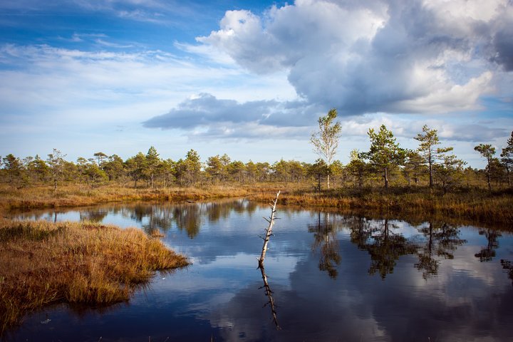 Bogs and Resorts in Jūrmala - Image 1