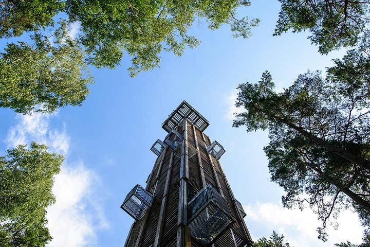 Bogs and Resorts in Jūrmala - Image 4