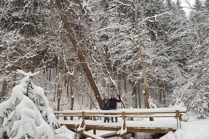 Discover Best Of Gauja National Park In One Day - Image 4
