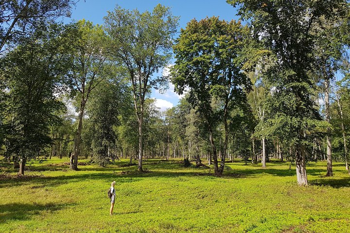Discover Best Of Gauja National Park In One Day - Image 2