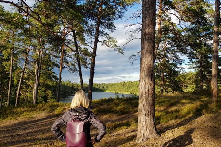 Four Natural Ecosystems In One Hike - Image 3