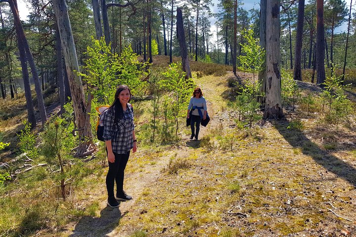Four Natural Ecosystems In One Hike - Image 5