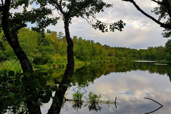 Four Natural Ecosystems In One Hike - Image 4