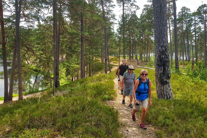 Four Natural Ecosystems In One Hike - Image 2