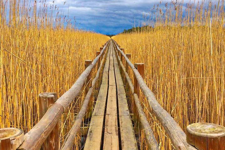 From Riga: Best of Kemeri National Park In One Day - Image 3