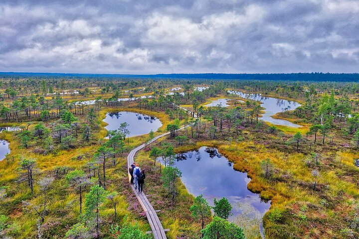 From Riga: Best of Kemeri National Park In One Day - Image 1