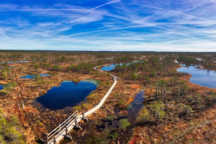 From Riga: Best of Kemeri National Park In One Day - Image 5