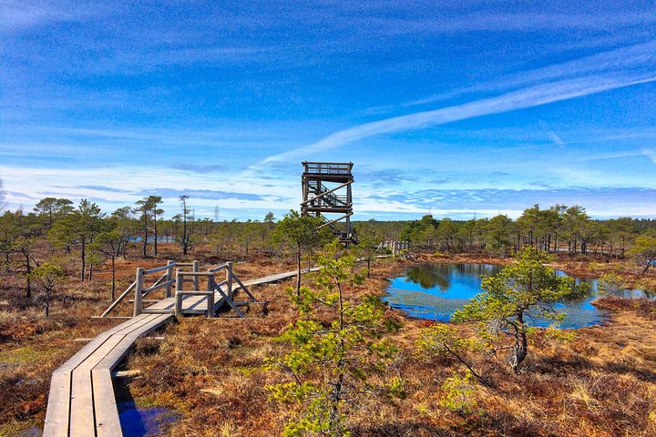From Riga: Best of Kemeri National Park In One Day - Image 4