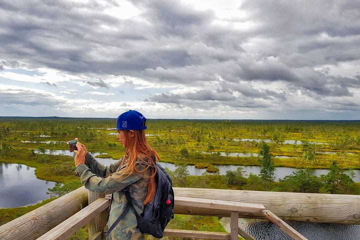 From Riga: Best of Kemeri National Park In One Day - Image 2