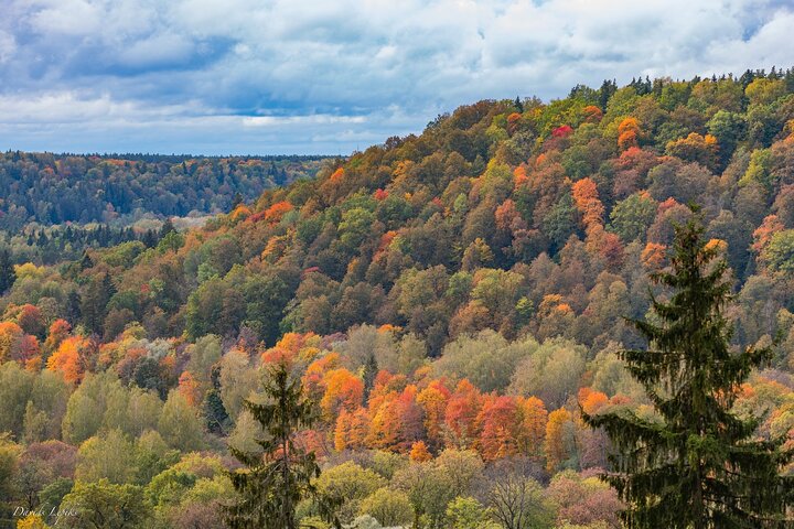 Half-Day Latvias Switzerland and Gauja National Park Private Tour - Image 1