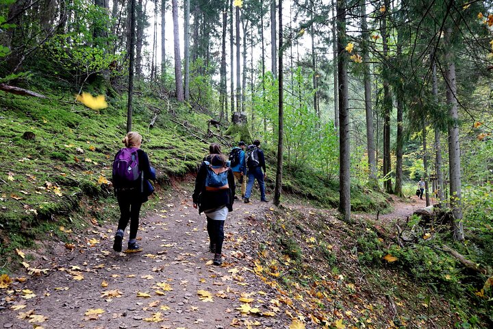 Hiking Adventure in Gauja National Park - 7 Days - Image 1
