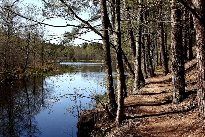 Hiking Adventure in Gauja National Park - 7 Days - Image 5