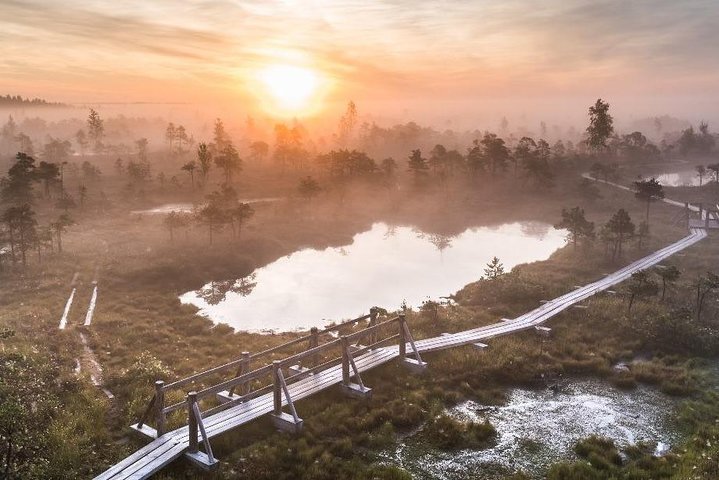 Jurmala Day Trip - Image 3