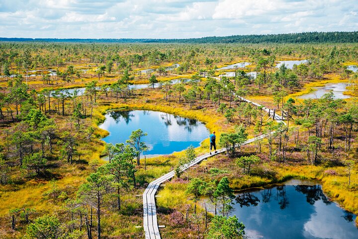 Private Full-Day Trip to Jurmala and Great Kemeri Bog Boardwalk - Image 3