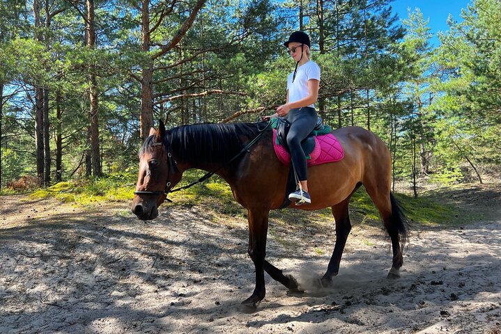 Private Horse Riding on the Beach in Riga - Image 5