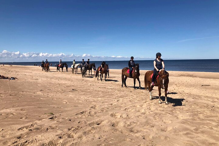 Private Horse Riding on the Beach in Riga - Image 2