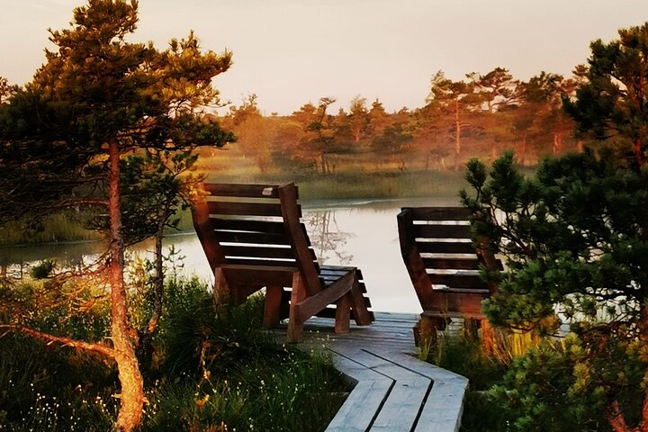 Private Kemeri National Park Bog Walking trail - Image 2