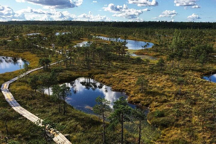 Private Kemeri National Park Bog Walking trail - Image 3