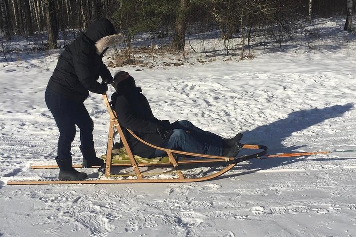 Riga Husky Sled Ride - Image 4