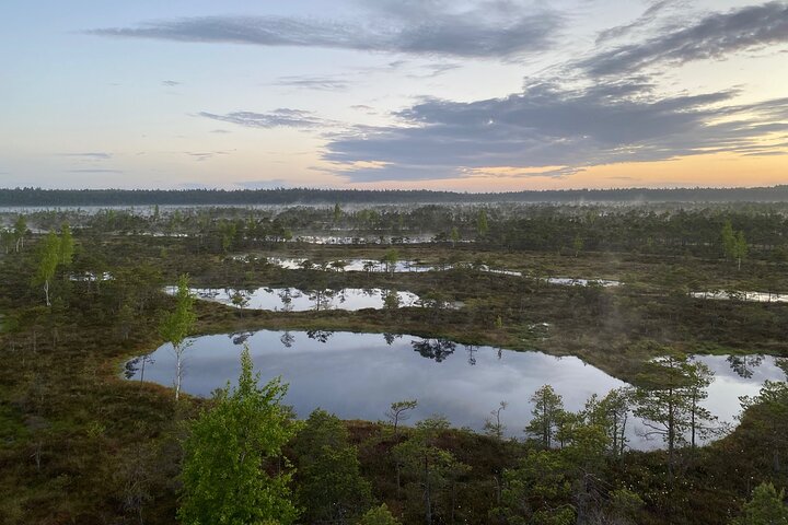 Trip to Kemeri National Park & Jurmala from Riga - Image 5