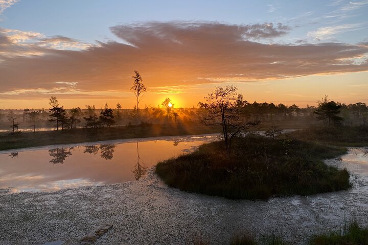 Trip to Kemeri National Park & Jurmala from Riga - Image 3