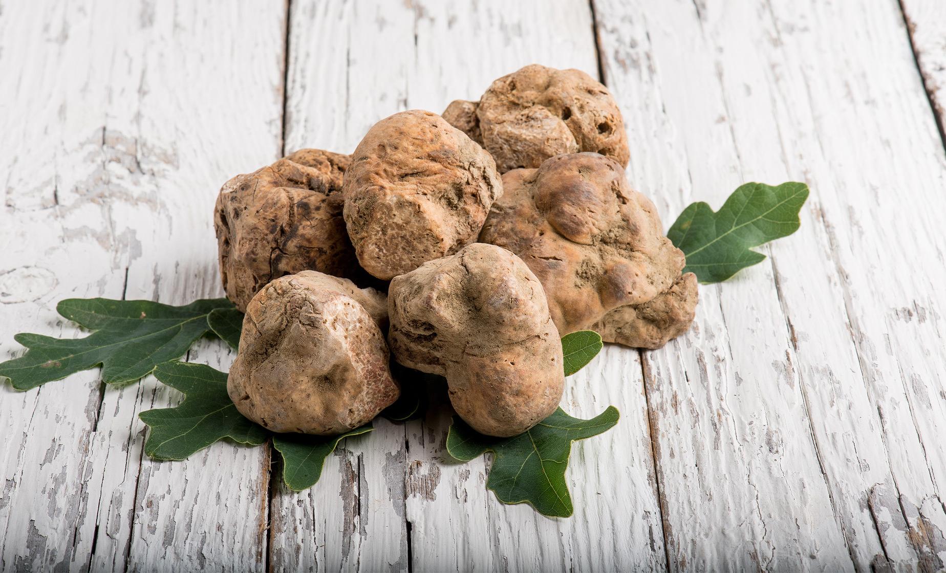 Istrian Truffle Hunting - Image 1
