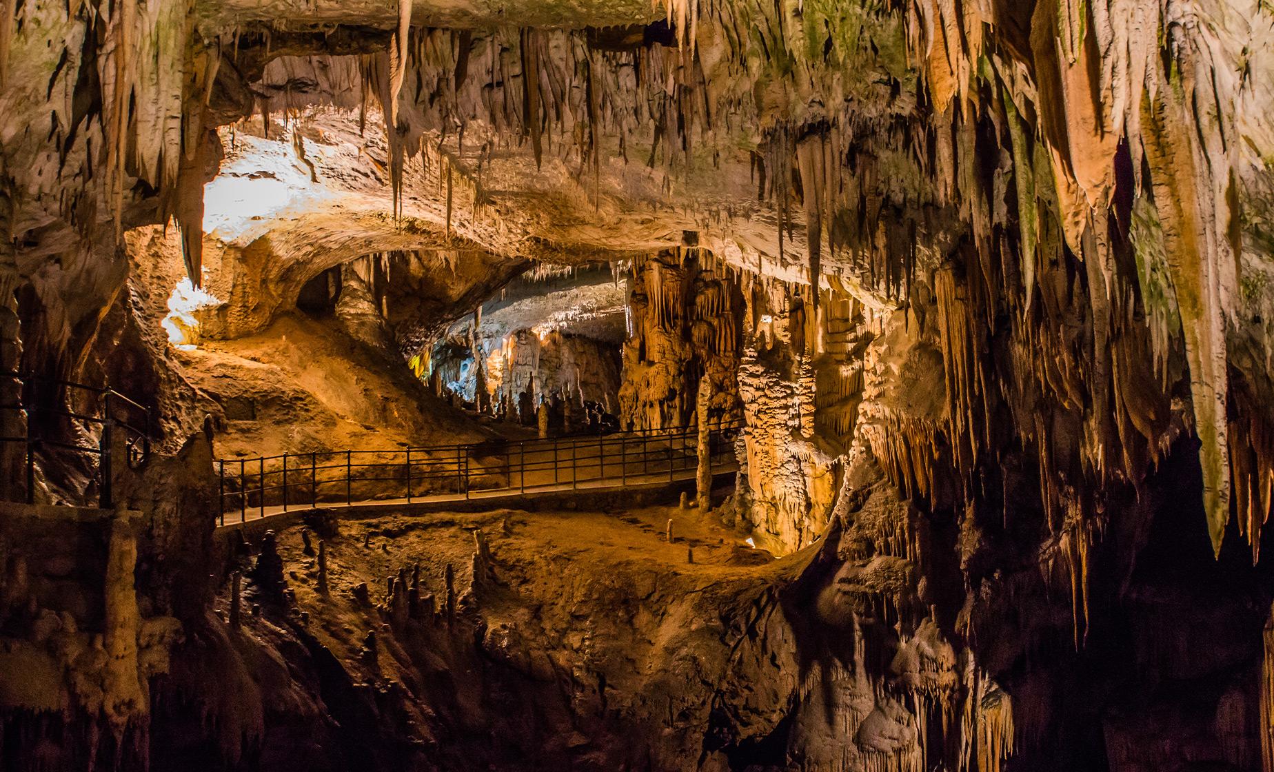 Private Lipica Stud Farm and Skocjan Caves - Image 1
