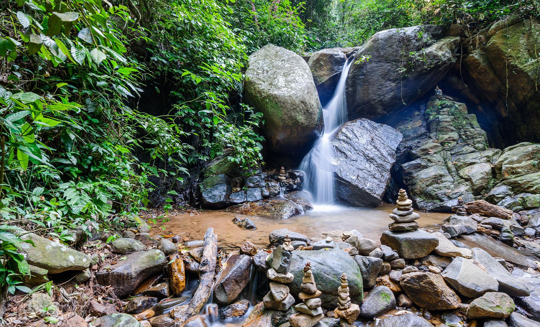 Rainforest Jeep Tour - Image 1