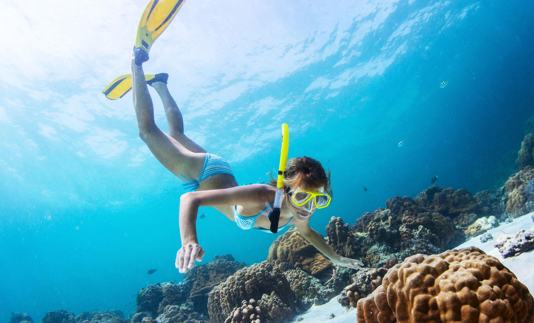 Animals and Snorkel Combo - Image 1