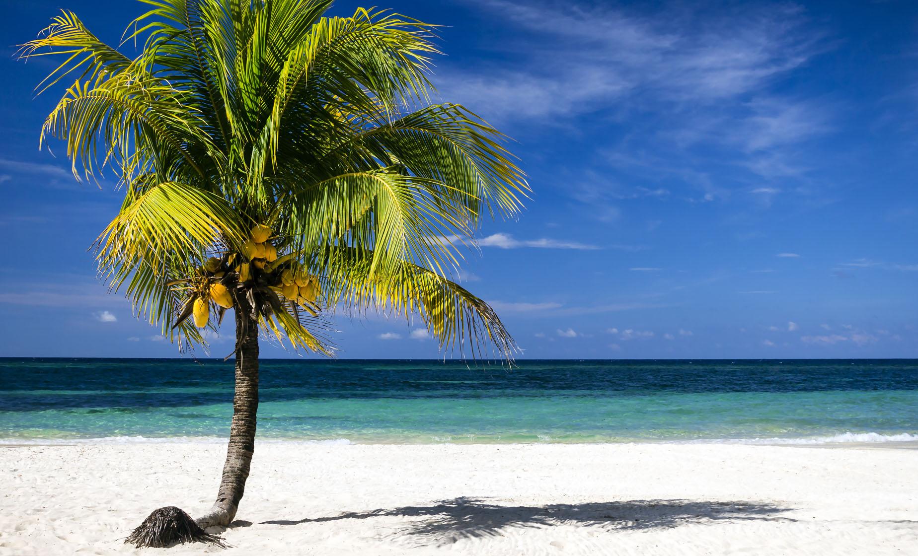 Best of Roatan and Beach - Image 1