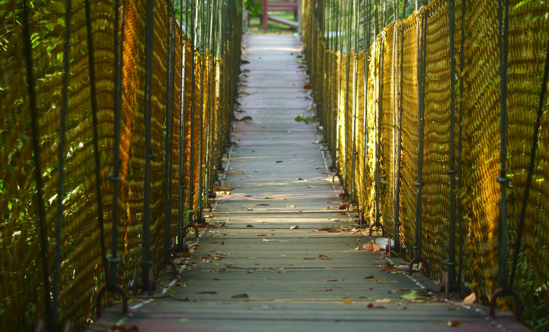 Eco Walk and Suspension Bridges - Image 1