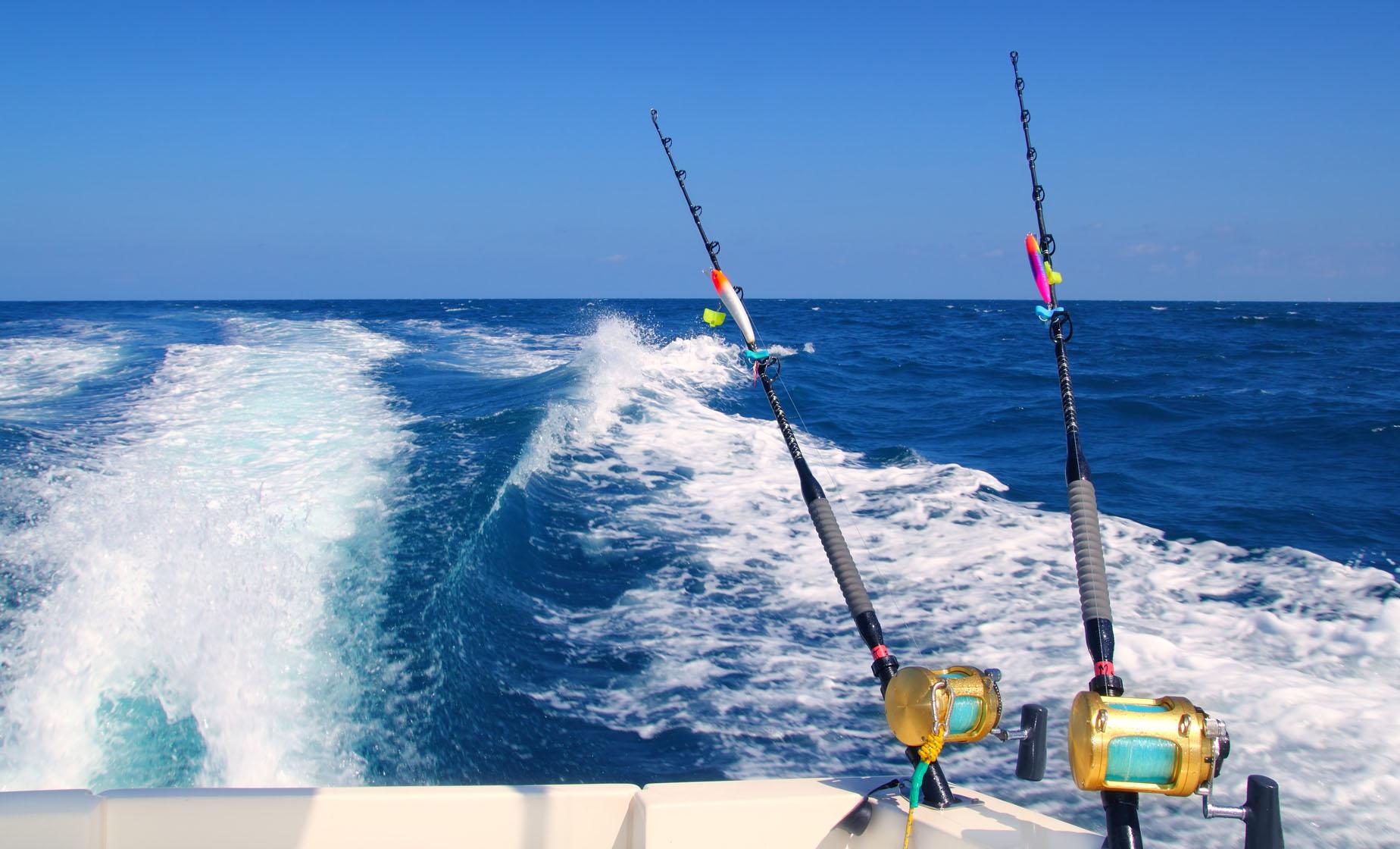 Fishing Charter Full Day - Image 1