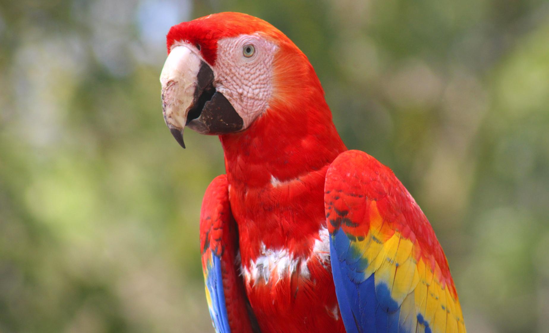 Gumbalimba Park and Island Tour - Image 1