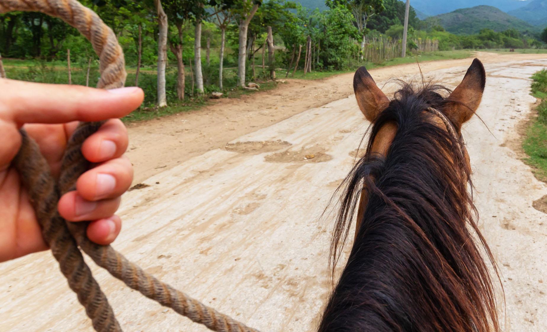 Horseback Riding with Lunch - Image 1