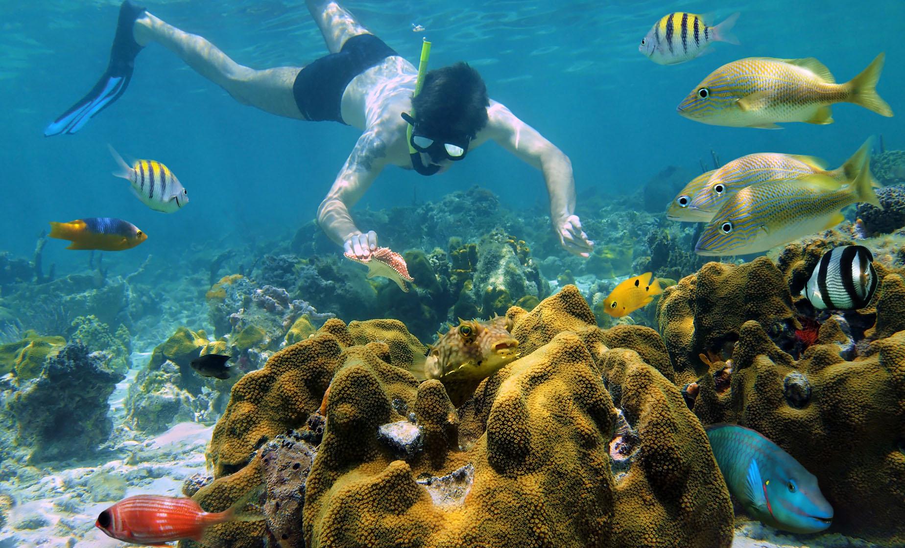 Iguana Park, Snorkel and Island Tour - Image 1