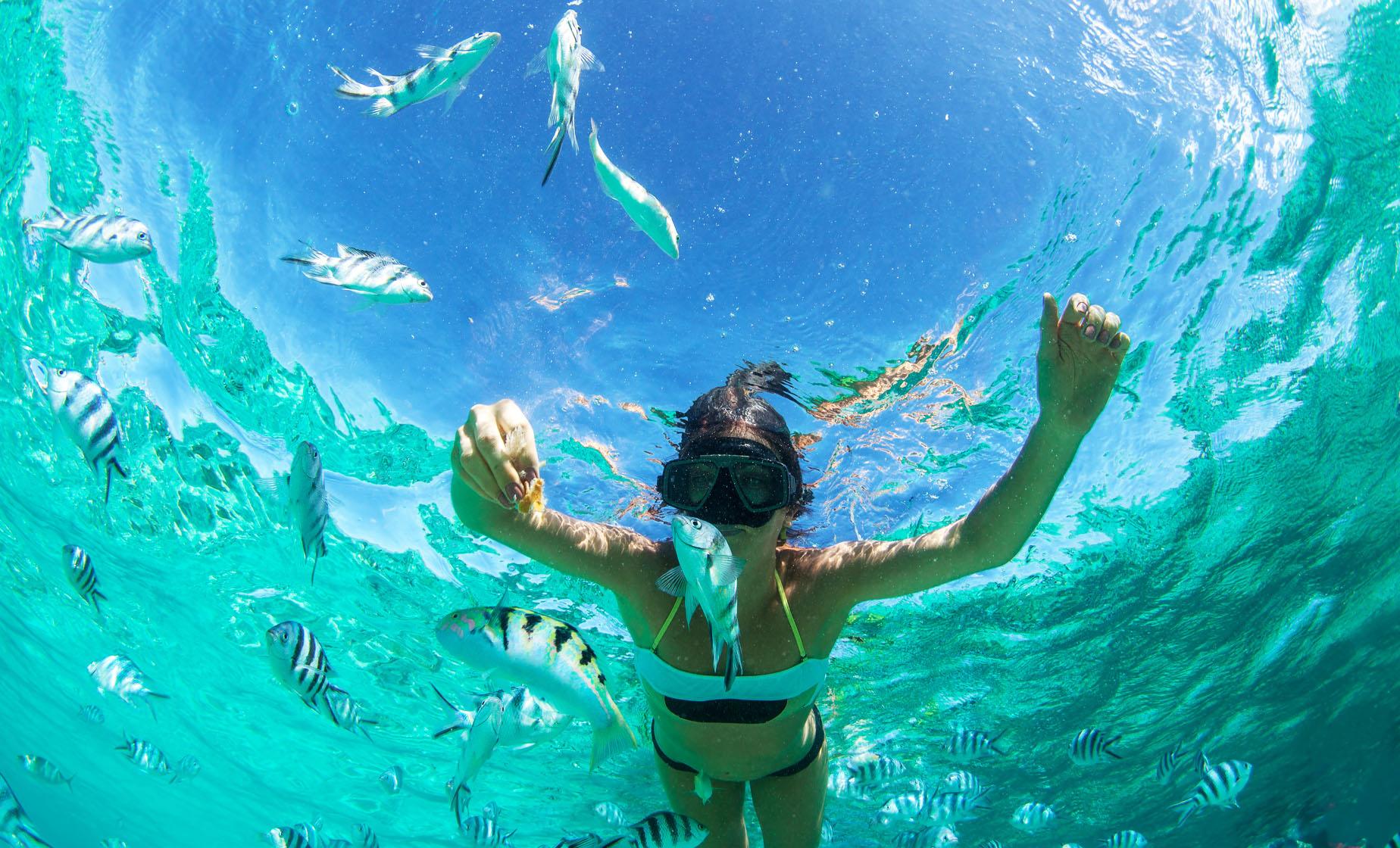 Island Boat Cruise, Iguana Park, Snorkeling and Beach - Image 1