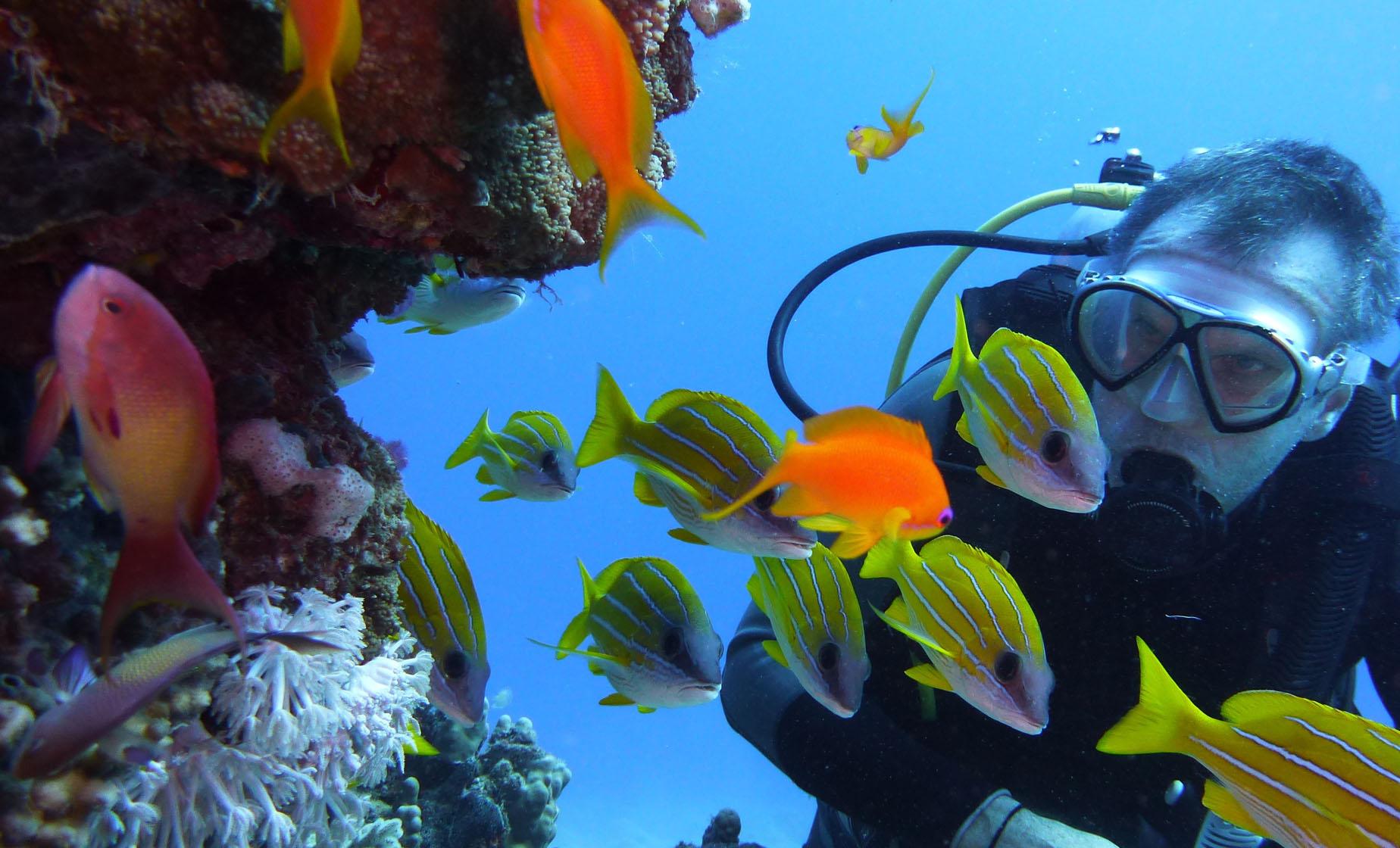 Two Tank Certified Dive (Gear Included) - Image 1