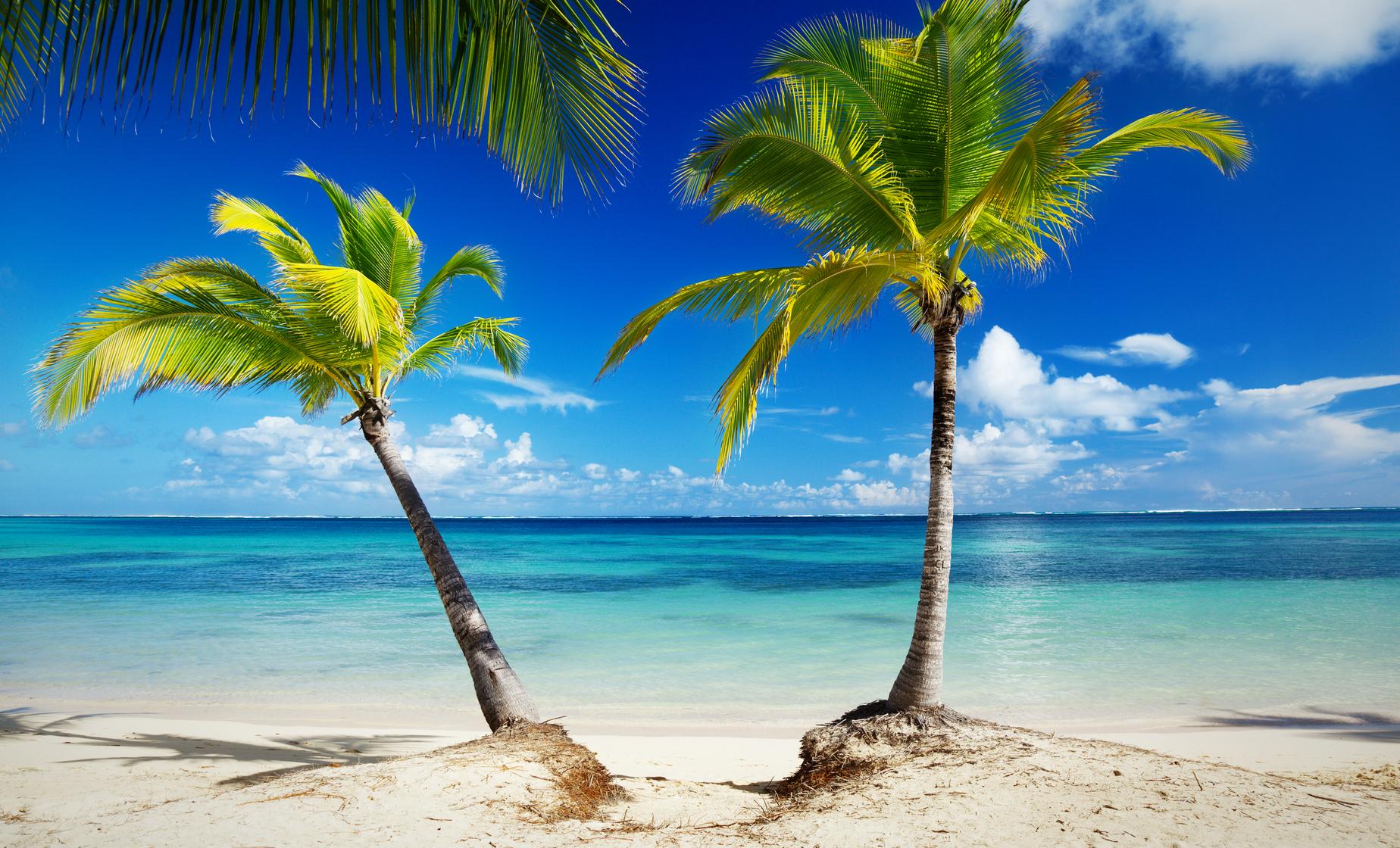 West End Island Beach Tour - Image 1