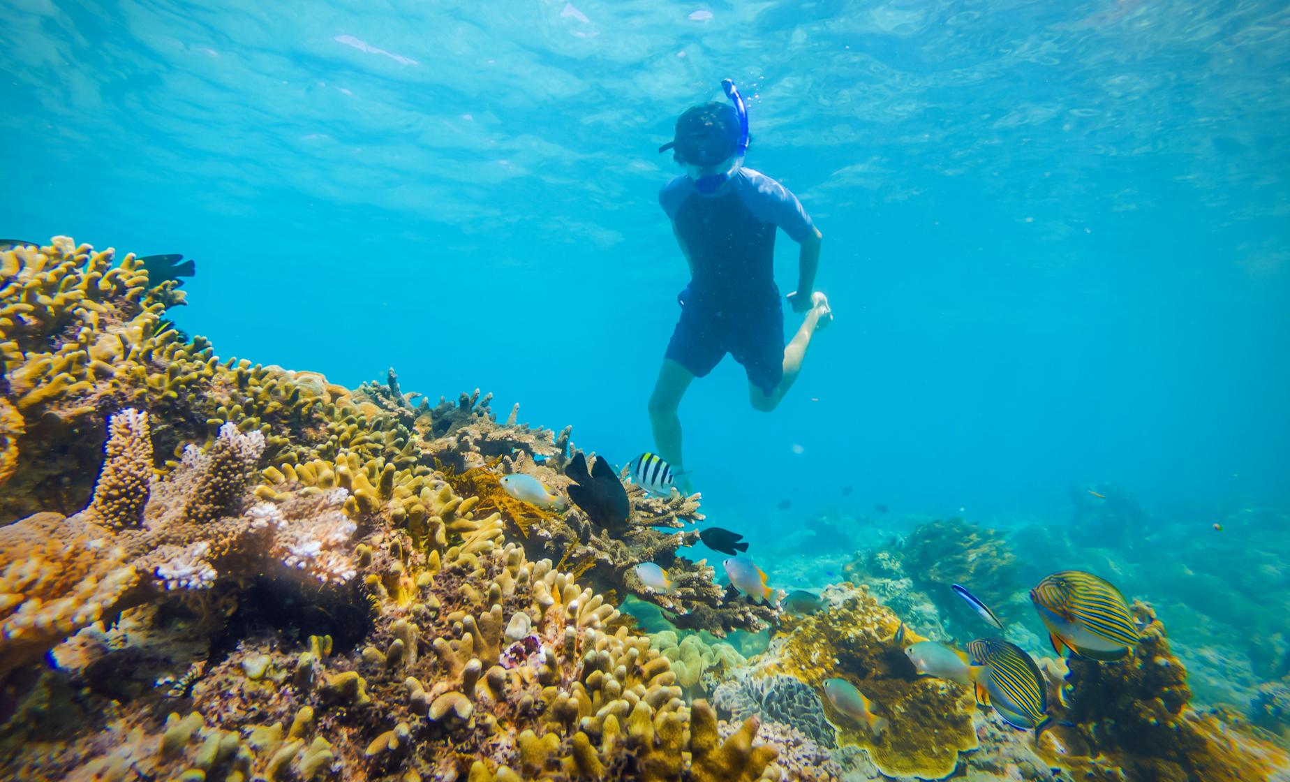 White Water Drift Snorkel and Sloth Hangout - Image 1