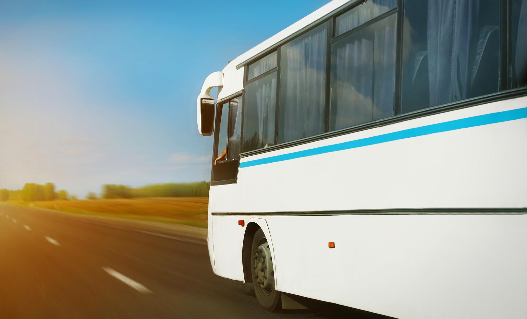 Transfer to Fiumicino Airport - Image 1
