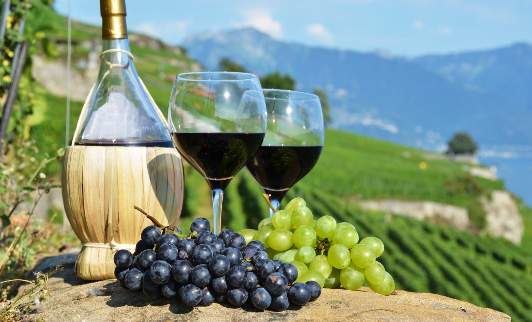 Tuscany Wine Tasting - Image 1