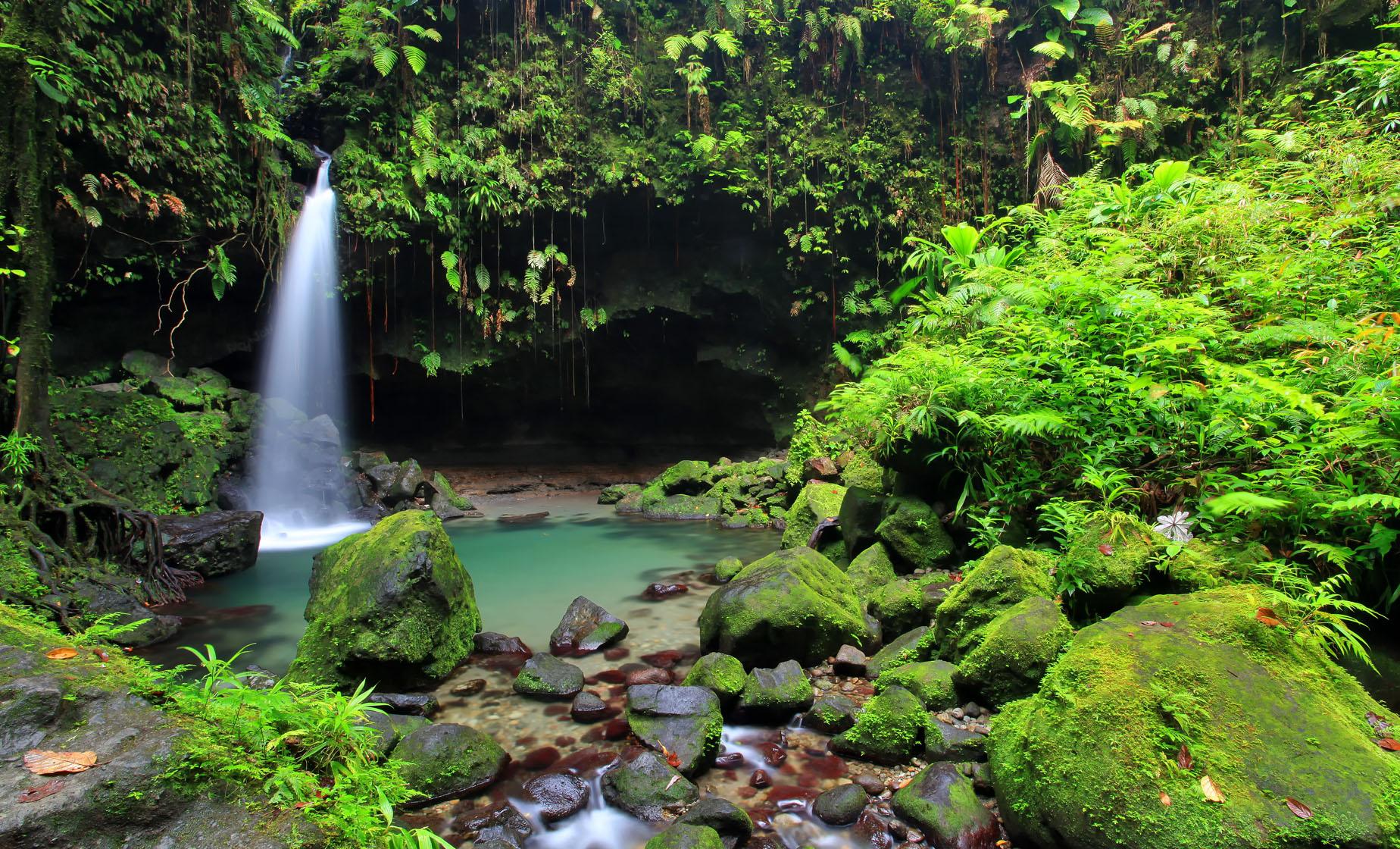 Special Dominica Favorites - Image 1