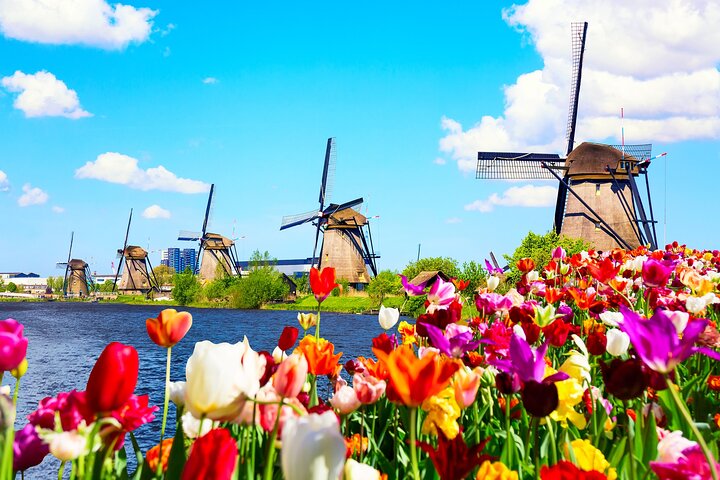 Full Day Private Kinderdijk Photography Tour from Rotterdam port - Image 1