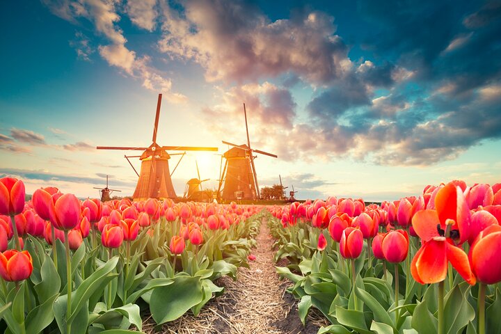 Full Day Private Kinderdijk Photography Tour from Rotterdam port - Image 5