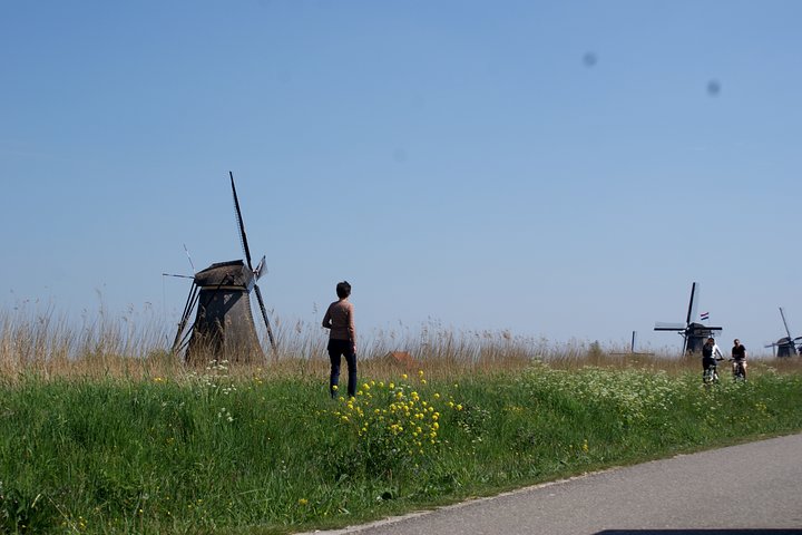 Kinderdijk Area Cycling Tour - Image 4