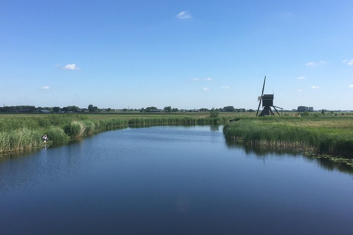 Kinderdijk Area Cycling Tour - Image 2