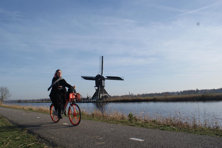 Kinderdijk Area Cycling Tour - Image 1