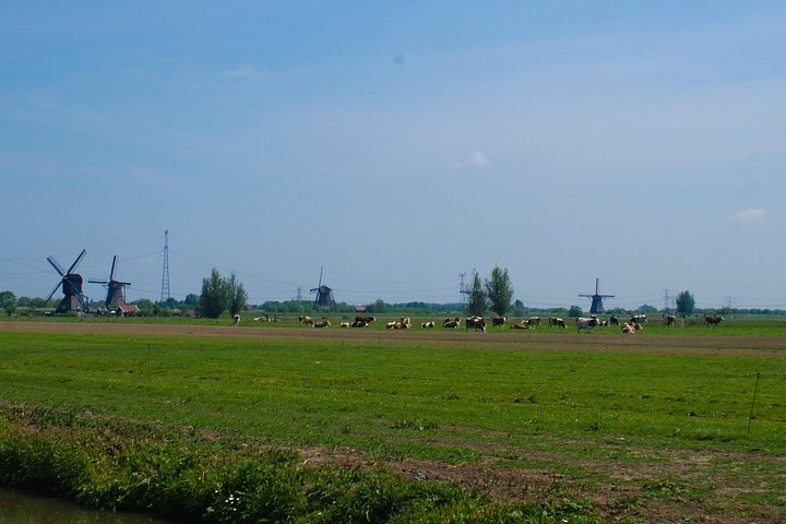 Kinderdijk Area Cycling Tour - Image 5