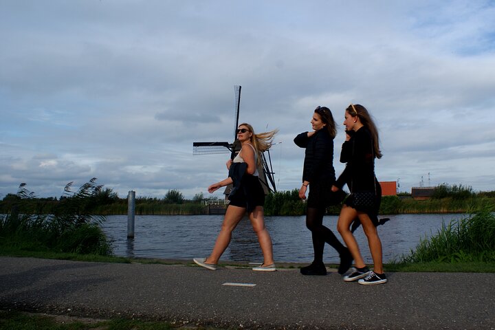 Kinderdijk Bike Tour  - Image 5